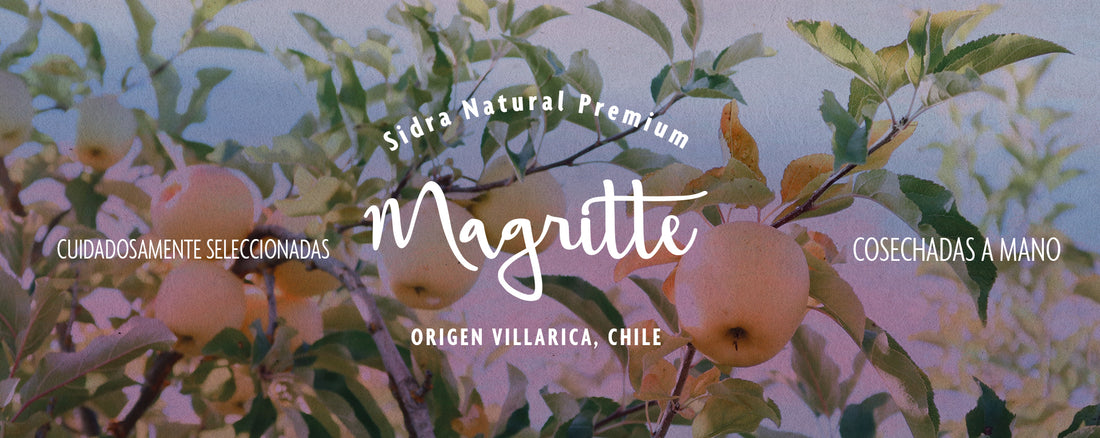 Lifestyle Magritte