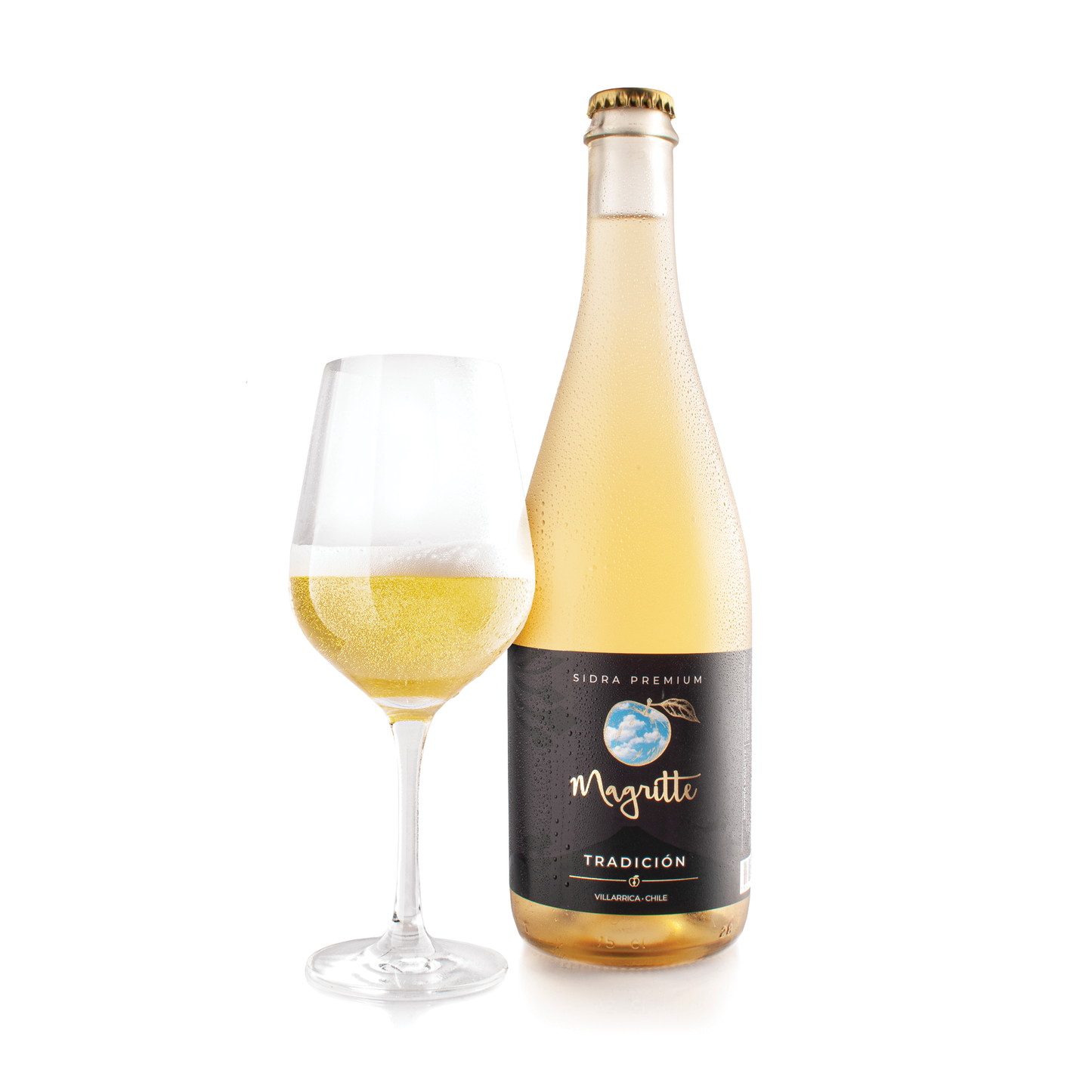 Sidra Tradición - Pack 6 Unidades 750 ml
